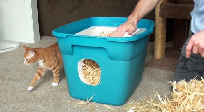 Come costruire un riparo per l’inverno