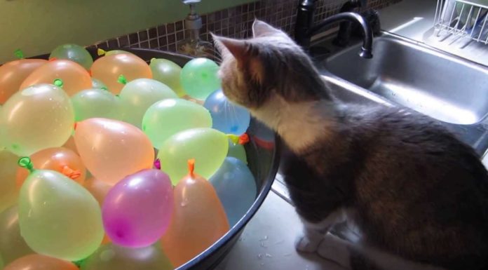 Io gioco con i palloncini d’acqua