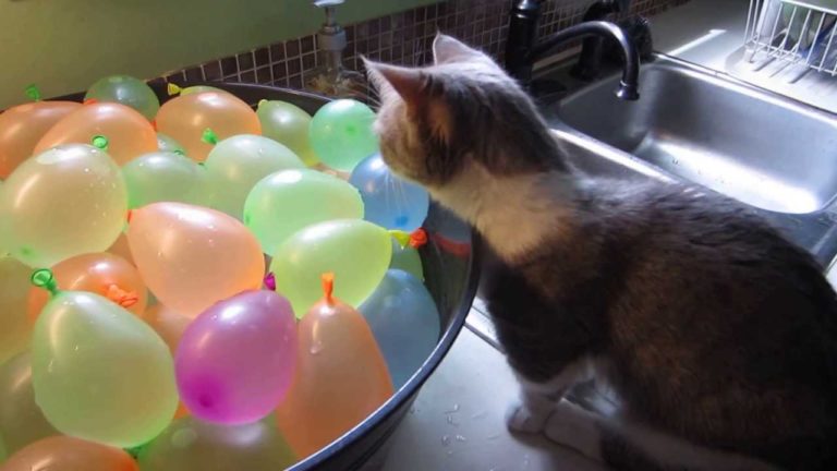 Io gioco con i palloncini d’acqua