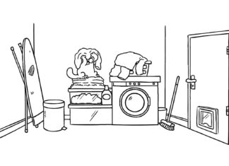 Simon's Cat - La lavanderia