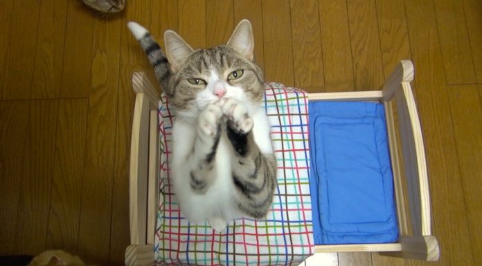 Possiamo dormire insieme?