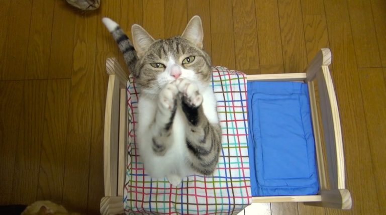 Possiamo dormire insieme?