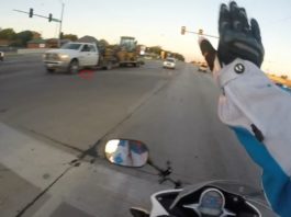 Motociclista blocca il traffico e salva gattino