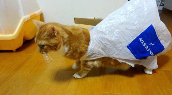 Giochiamo con i sacchetti di plastica