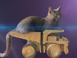 Fast and furious 8 - il trailer gattoso