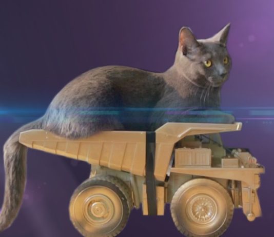 Fast and furious 8 - il trailer gattoso