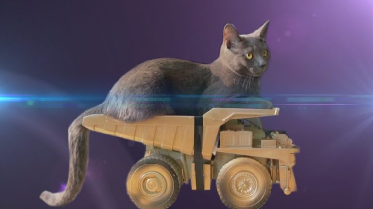 Fast and furious 8 - il trailer gattoso
