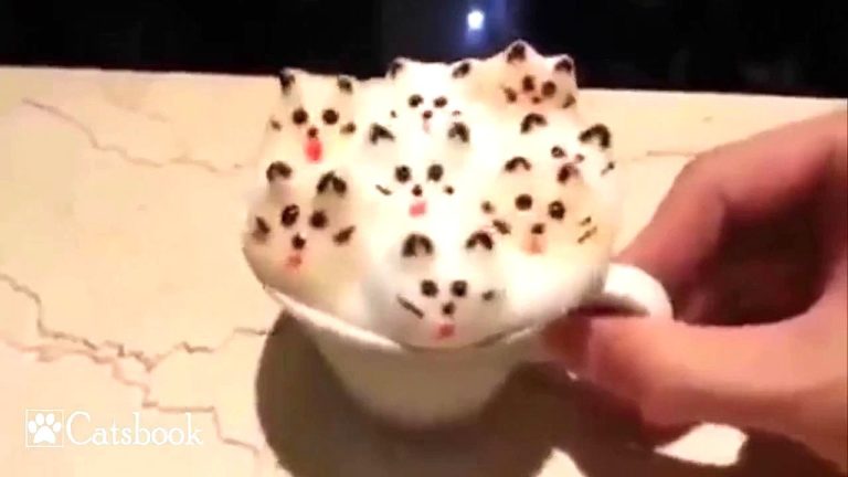 Cappuccino gattoso