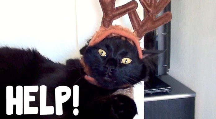 Cole al suo primo Natale