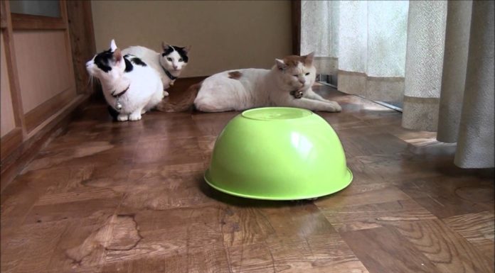 Cosa c’è li sotto?