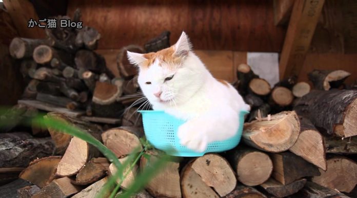 Giochiamo all’aperto