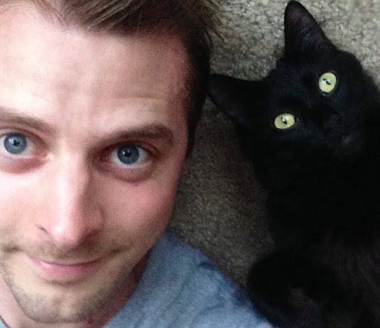 Guida per gatti: come amare un umano