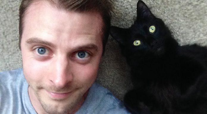 Guida per gatti: come amare un umano