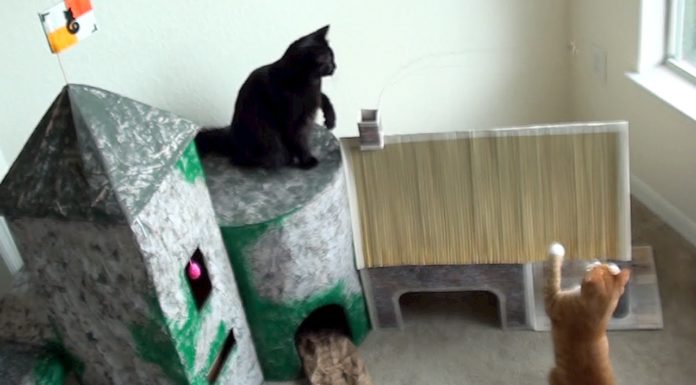 Fai da te: come realizzare un castello per gatti