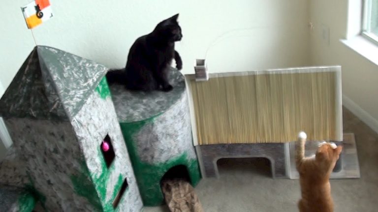 Fai da te: come realizzare un castello per gatti