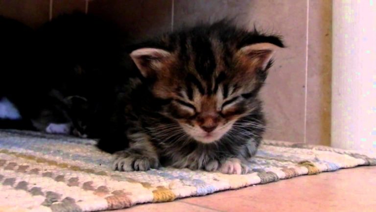 Non voglio dormire!