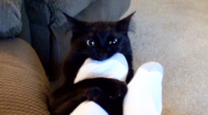 Vuoi dormire? Io dico di no!