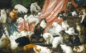 Gatti venduti all’asta per 830mila dollari my wife's lovers