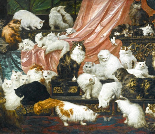 Gatti venduti all’asta per 830mila dollari my wife's lovers