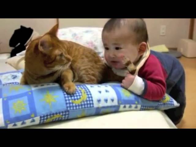 Bambino dispettoso