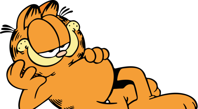 Garfield, la storia