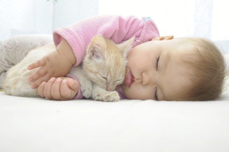 L’arrivo di un bebè: come è meglio comportarsi con il gatto