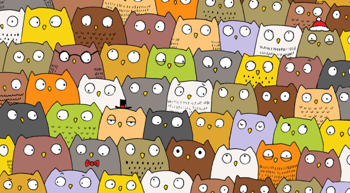 Trova il gatto di Dudolf Gatto di Dudolf