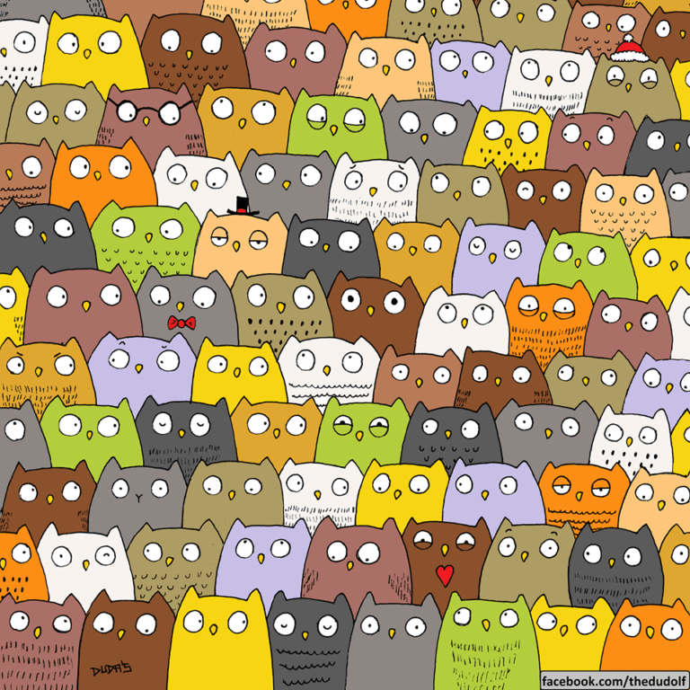 Gatto di Dudolf
