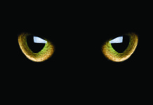 occhi di gatto catarifrangenti