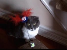 Munchie e il nuovo gioco