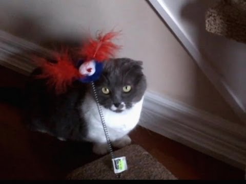 Munchie e il nuovo gioco