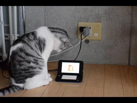 Giochiamo insieme al Nintendo