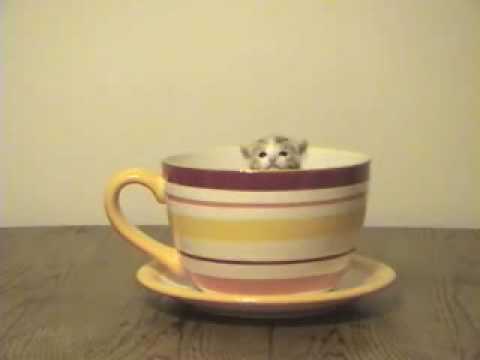 Caffè con sorpresa