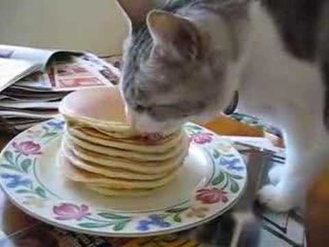 Che buoni i pancake