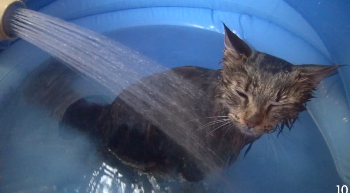 È l’ora del bagnetto