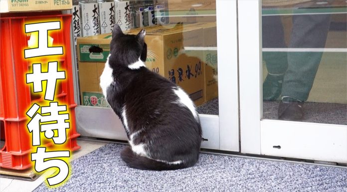 Aspettando l’ora di pranzo