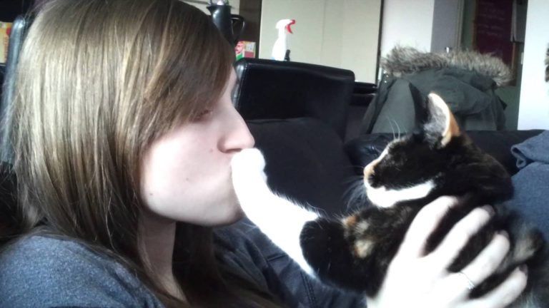 Gatti che non vogliono essere baciati