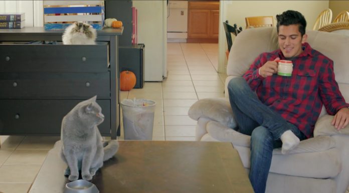 Voglio mangiare anch’io!