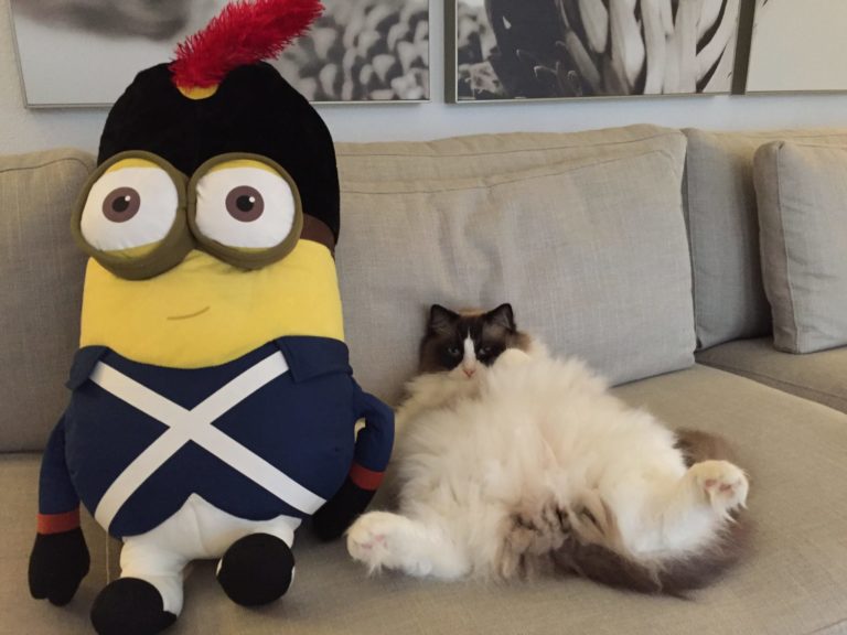 Timo e il suo amico Minion