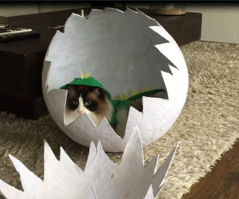 Timo il dinosauro