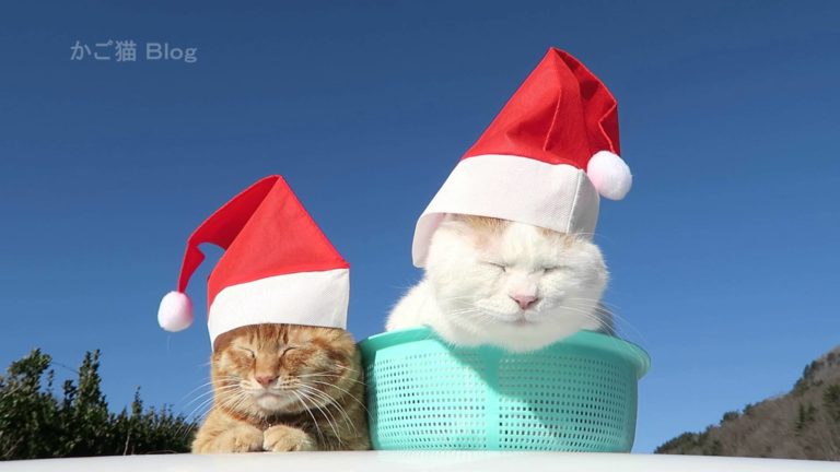 Cappelli di Santa Claus