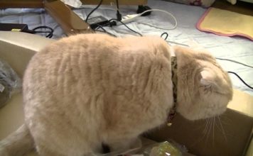 Un regalo tutto per te!