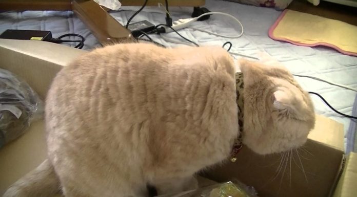 Un regalo tutto per te!