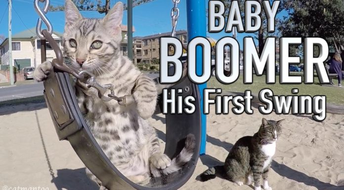 Andiamo sull’altalena?