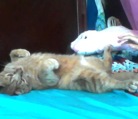 Madison amante dei “grattini”