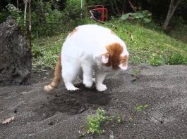 Giochiamo con la sabbia