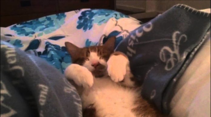 A me piace dormire così