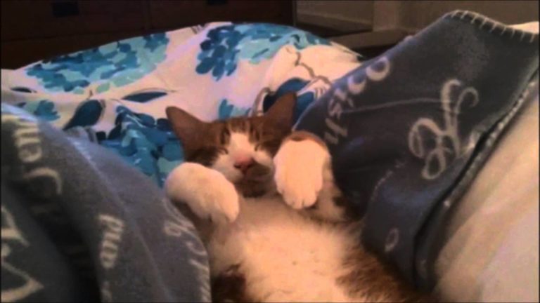 A me piace dormire così