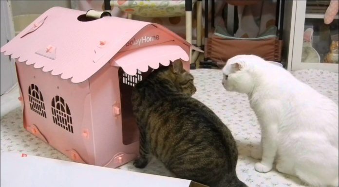 Ma che bella casetta!