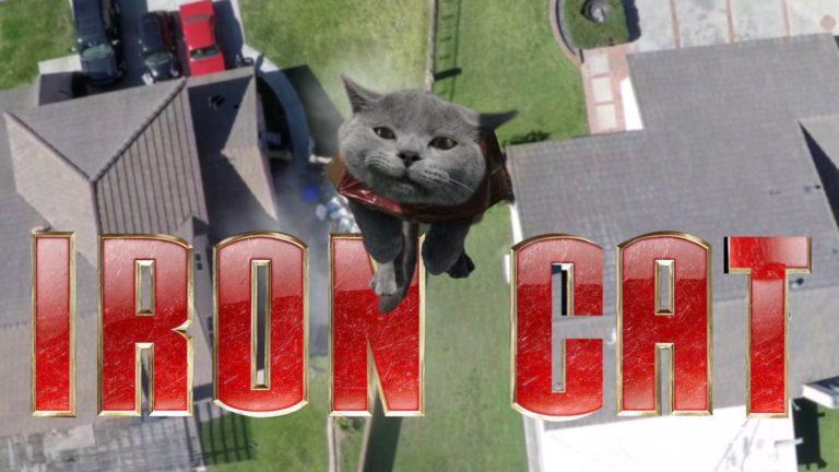 Aaron’s animals – Iron cat